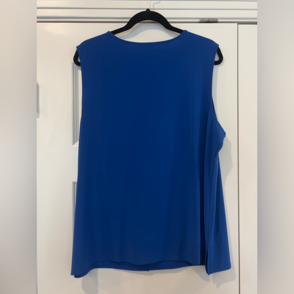 Blue Shell - Picture 2 of 2